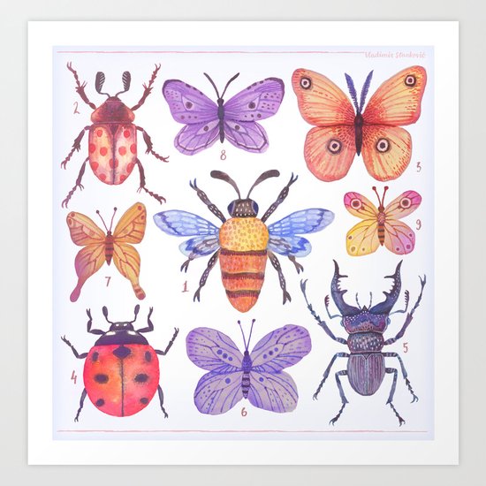 The Collection Art Print