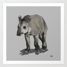 Tapir (Tapirus terrestris) Art Print