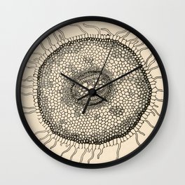 Botany Diagram Wall Clock