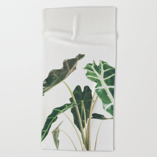 Elephant Ear Beach Towel
