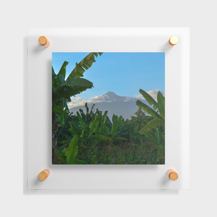 South Africa Photography - Dense Jungle In Front Of A Big Mountain Floating Acrylic Print
