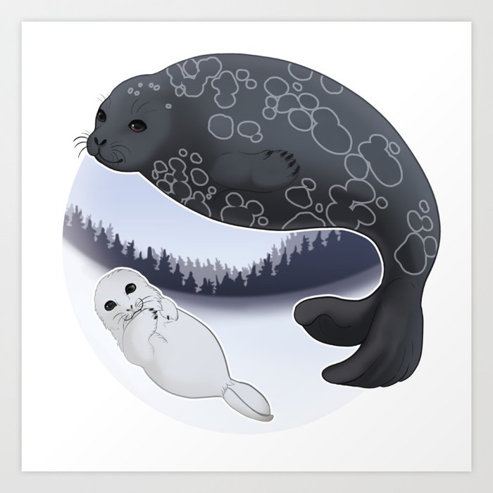 Ringed Seal from Saimaa Art Print