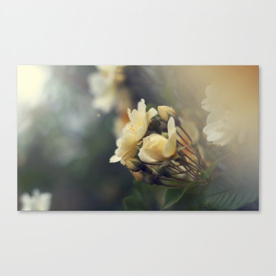 Shine Canvas Print
