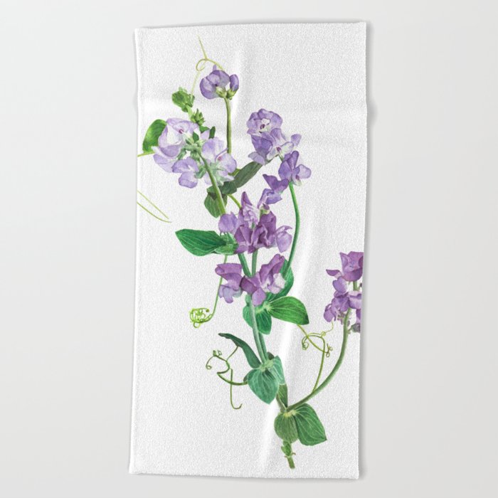 Purple Lathyrus Sweet Pea Beach Towel By Artzyanna Society6 Purple Lathyrus Sweet Pea Beach Towel