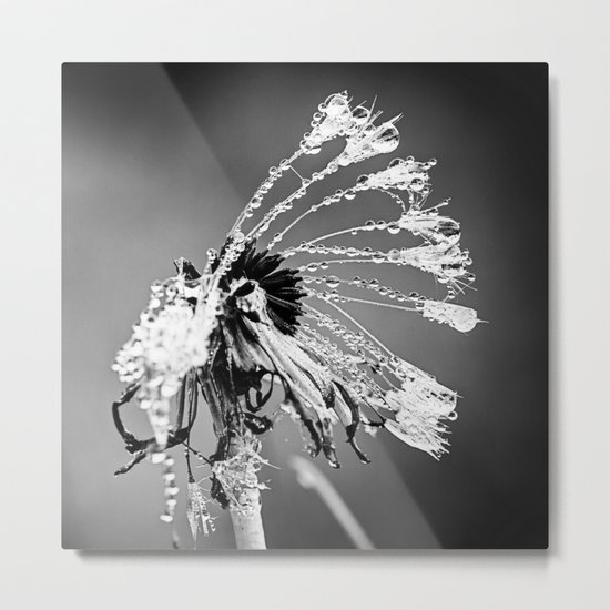 weight of water Metal Print
