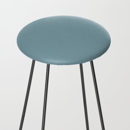Bottlenose Dolphin Teal Counter Stool