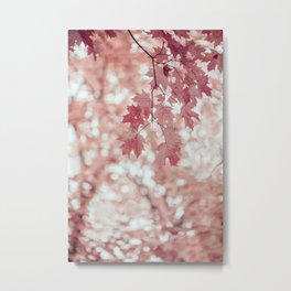 Pink, Peach, and Coral Maple Leaves Metal Print