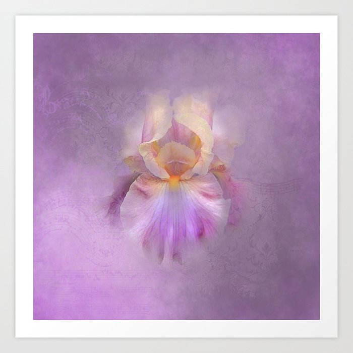 Rainbow Iris on Textured Purple Mauve Background Art Print by iZiets |  Society6