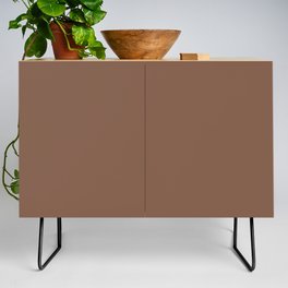 Dark Brown Solid Color Pairs PPG Spiced Cinnamon PPG1071-7 - All One Single Shade Hue Colour Credenza