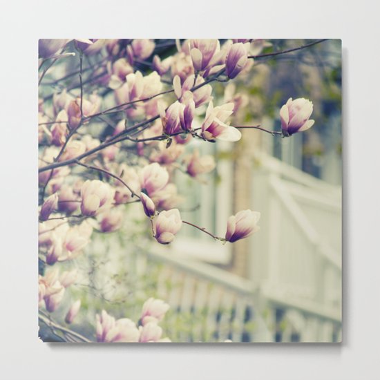 Magnolia Tree Metal Print