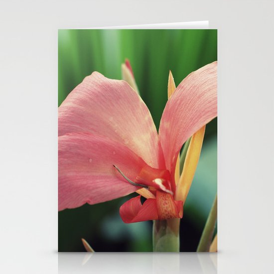 Beauty is in the eye of the beholder Stationery Cards