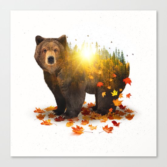 Equinox | Bear Canvas Print