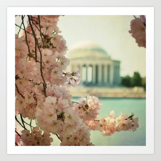 DC Cherry Blossoms Art Print