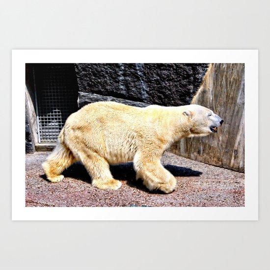 Polar bear at the Zoo Art Print