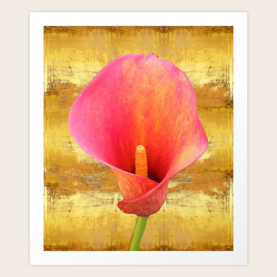 Reiterate Art Print