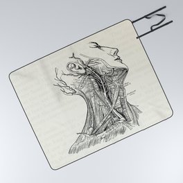 Arteries of the Neck Vintage Medical Illustration Picnic Blanket