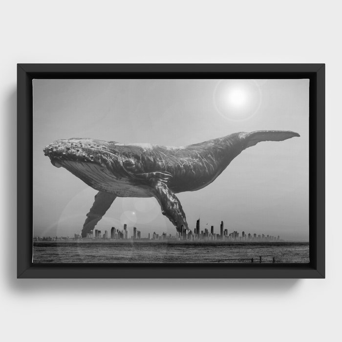 Mega Whale over Surfers Paradise Framed Canvas