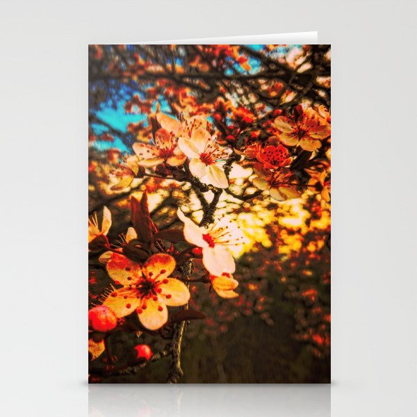 Springtime Blossoms Stationery Cards