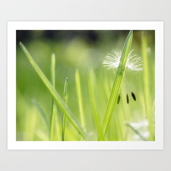 drift away Art Print