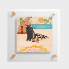 Sunny Day Beach Cat Buddies Floating Acrylic Print