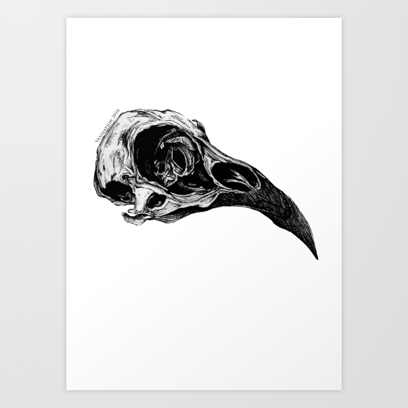 CROW SKULL Clear Sticker