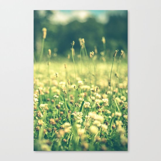 My Heart Was Wrapped in Clover (the night I looked at you) Canvas Print
