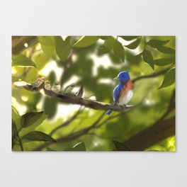 Grandma's blue bird Canvas Print