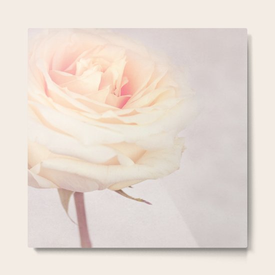 GRAZIA Metal Print