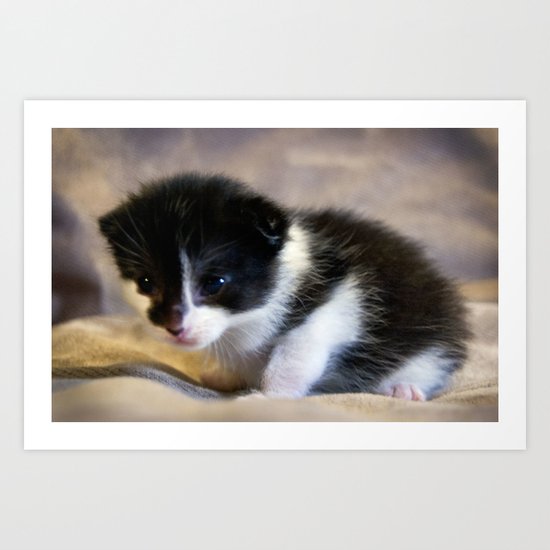 Itty Bitty III Art Print