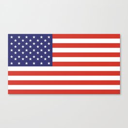 American Flag, Stars and Stripes. Pure and simple. Canvas Print