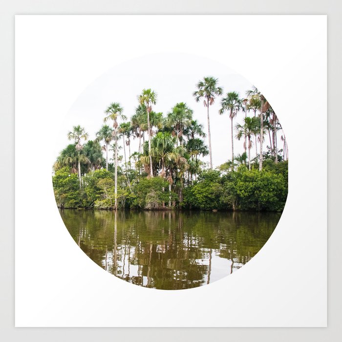 Rainforest Palms over Peruvian Amazon Circle Fine Art Print Art Print
