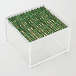 Bamboo Forest Acrylic Box