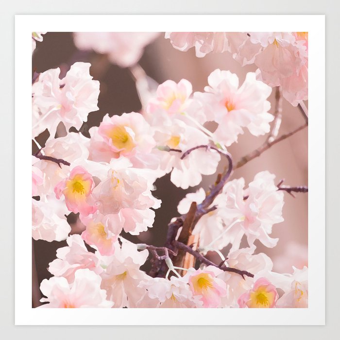 Pastel Pink Cherry Blossom Soft Brown Background Decor Society6