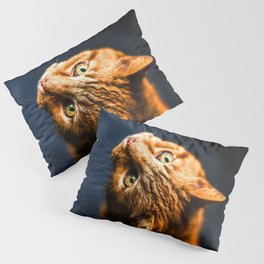 Ginger kitty cat Pillow Sham