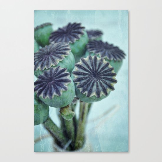Que sera Canvas Print