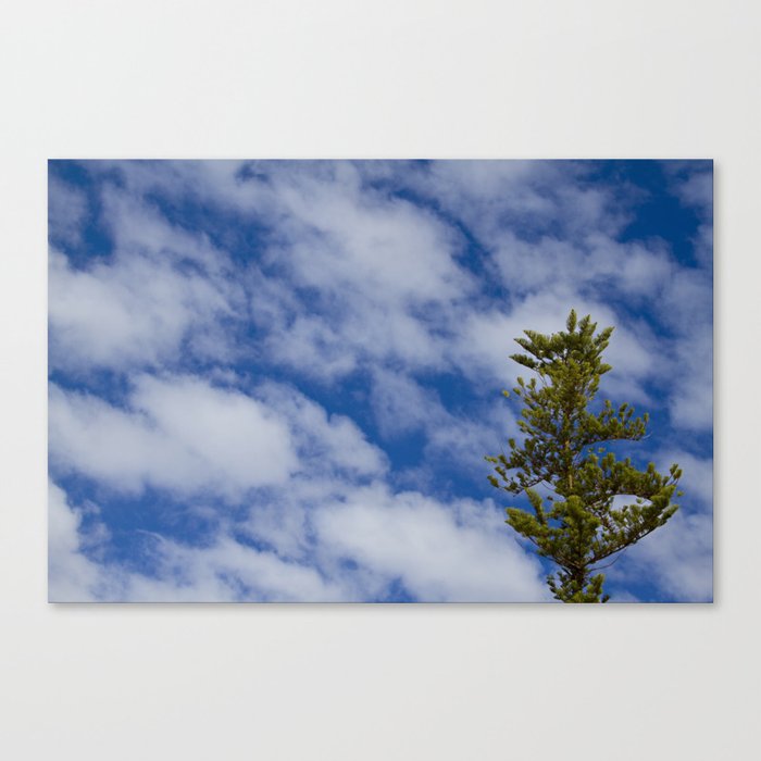 In the Clouds Canvas Print