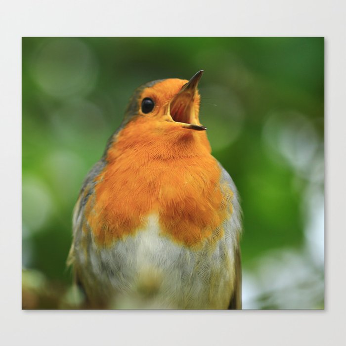 Sing to Me Larry! Canvas Print