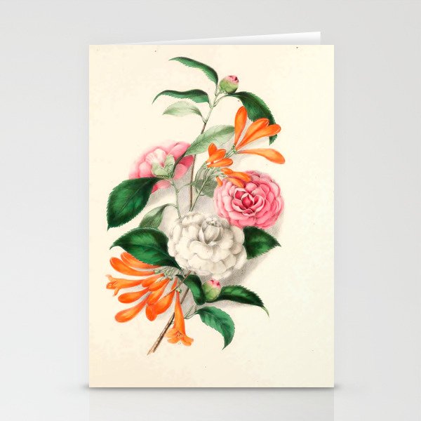 Flowers from "Floral Belles" by Clarissa Munger Badger, 1866 (benefitting The Nature Conservancy) Stationery Cards