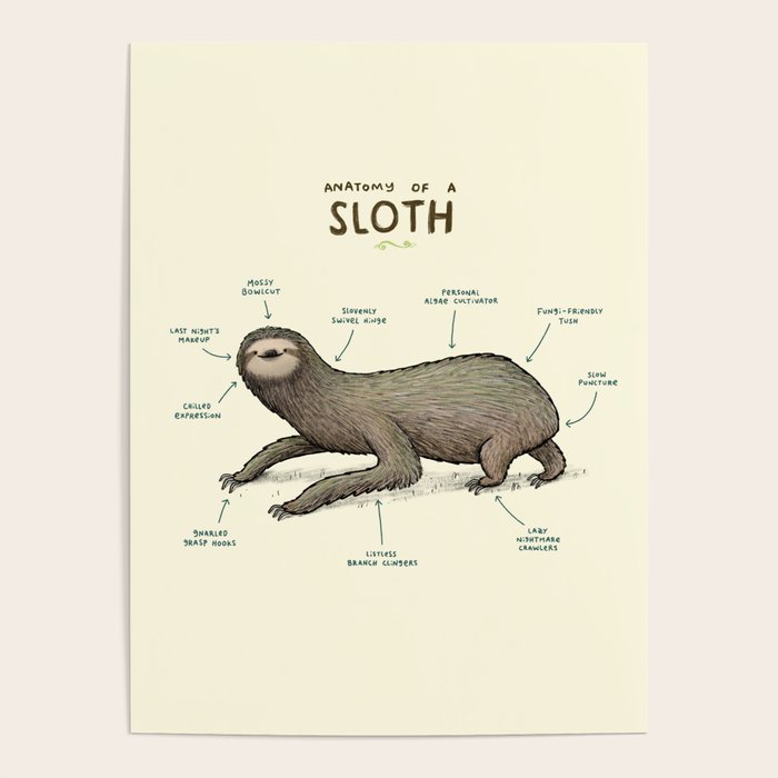 Anatomy of a Sloth Poster by Sophie Corrigan Society6