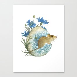 Field Mouse and Celestite Geode Canvas Print