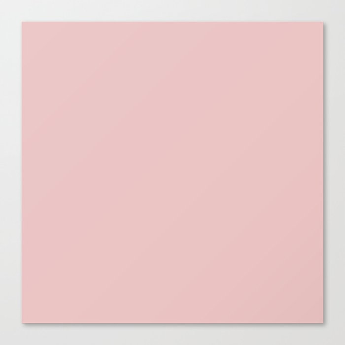 Shimmer Pink Canvas Print