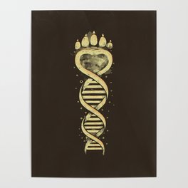 Bear DNA Poster