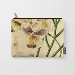 Papilionanthe teres (as syn. Vanda teres) Carry-All Pouch | Vintage, Nature, Illustration 