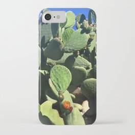 California Cactus Garden iPhone Case