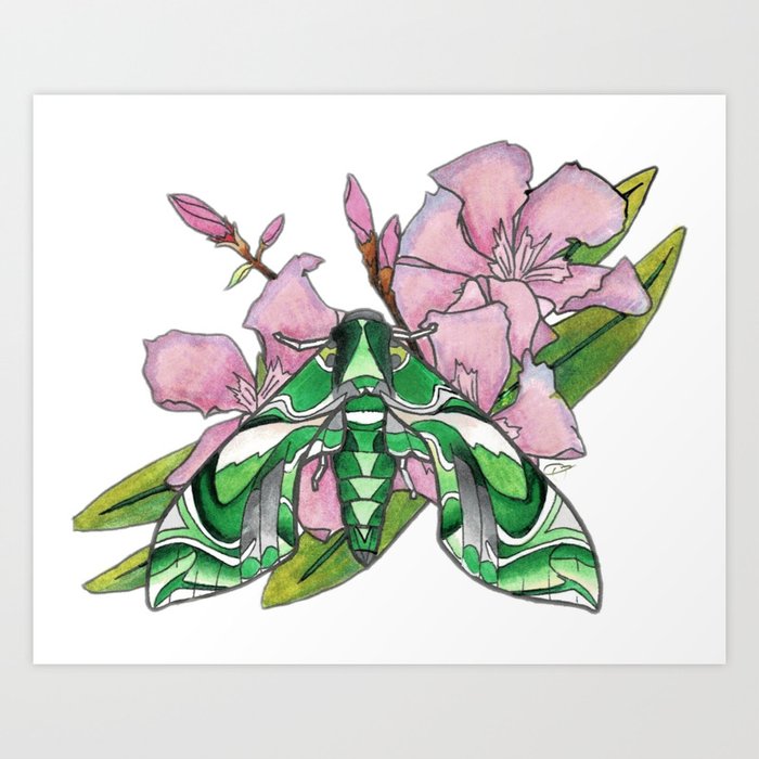 Oleander HM Art Print