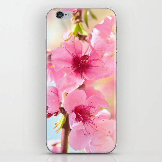 Pink Bliss iPhone & iPod Skin
