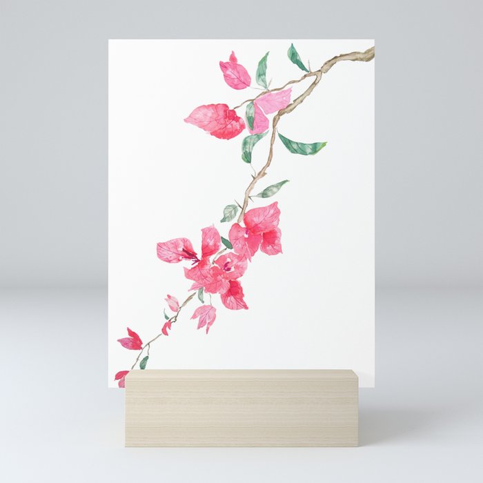 red pink bougainvillea watercolor Mini Art Print by Color and Color |  Society6