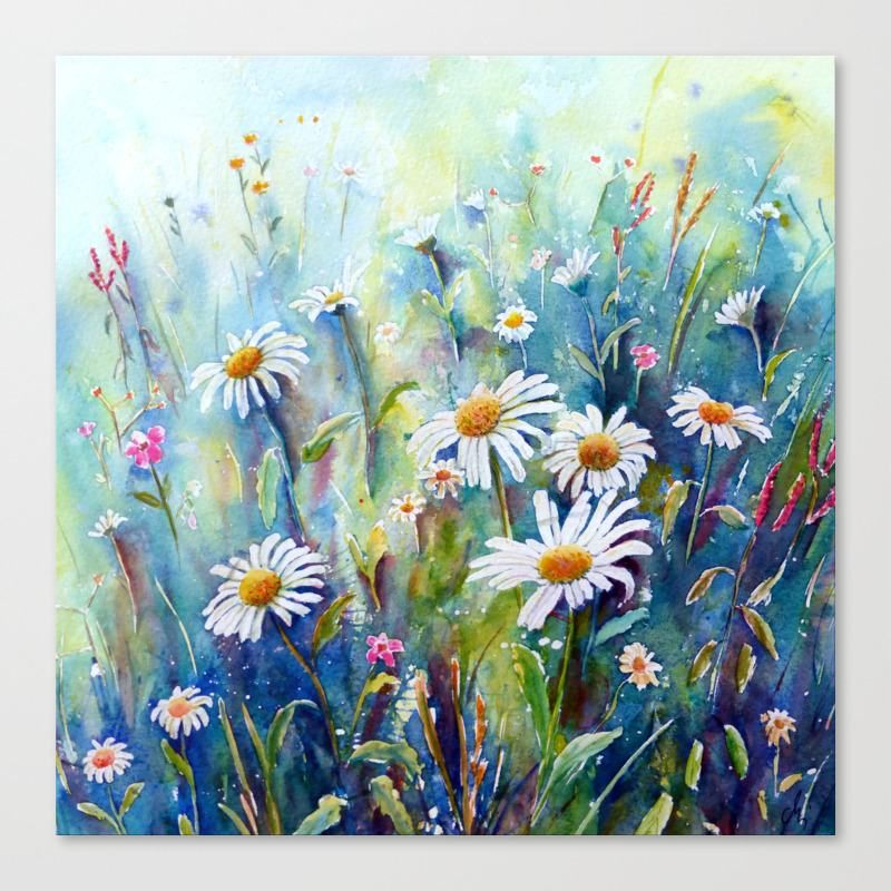 Watercolor Daisy Field Canvas Print By Chengjing Society6