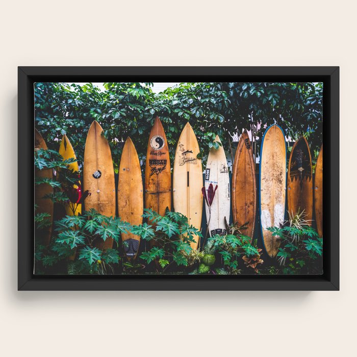 Framed Canvas