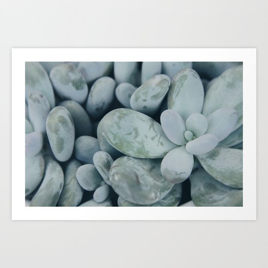 Moonstones Art Print
